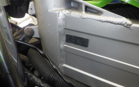 KAWASAKI KR-1 1992 KR250B
