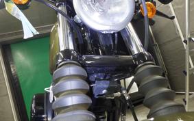 HARLEY XL883N 2017