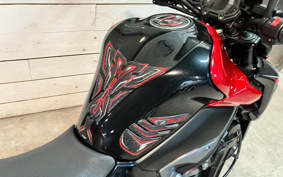 KAWASAKI Z900 2018 ZR900B