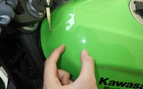 KAWASAKI NINJA 400 2021 EX400G