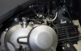 KAWASAKI Z125 PRO 2022 BR125H