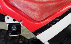 HONDA TLM200R 1991 MD15