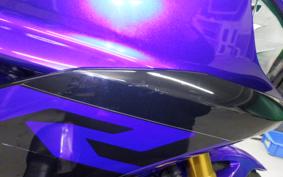 YAMAHA YZF-R25 2022 RG43J