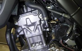 HONDA CRF250L 2008 MD47
