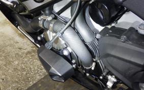 KAWASAKI NINJA ZX-6R A 2019 ZX636G