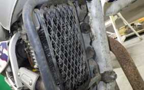 SUZUKI DJEBEL 250 XC 2004 SJ45A