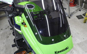 KAWASAKI ZRX1200 D 2021 ZRT20D