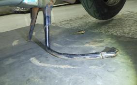 HONDA DIO CESTA AF34