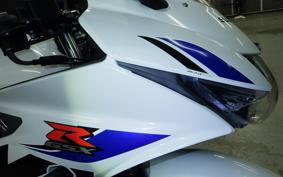 SUZUKI GSX-R125 2013 DL33B