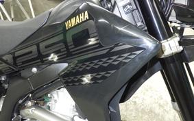 YAMAHA WR250X DG15J