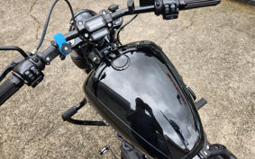 HARLEY FXBB 2020 YJJ