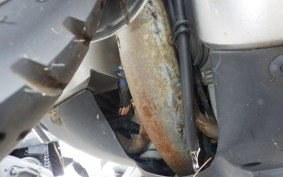 SUZUKI VERDE CA1MA