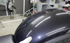 TRIUMPH SPEED 400 2024