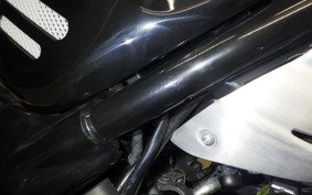TRIUMPH SPEED 400 2024