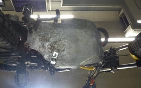 HONDA TLM50 AD07
