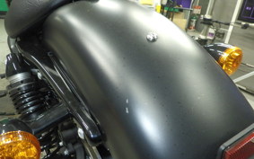 HARLEY XL883N 2017