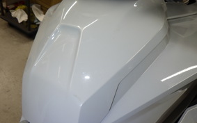 BMW S1000XR 2021