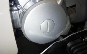 OTHER +GPX POPZ110 2026