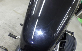 HARLEY XL1200X 2017