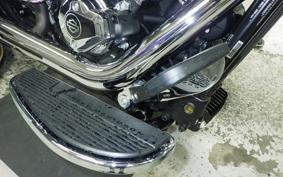 HARLEY FLFB1920 2026