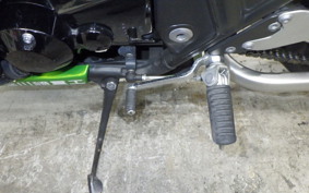 KAWASAKI ZRX1200 D 2011 ZRT20D