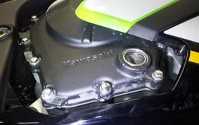 KAWASAKI ZX-4RR 2025 ZX400P