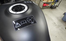 TRIUMPH TRIDENT 660 2021