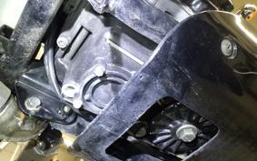 KAWASAKI ELIMINATOR 250 SE 2021 EL250A