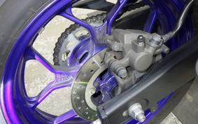 YAMAHA YZF-R25 2023 RG43J