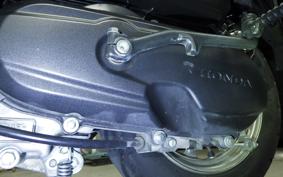 HONDA TACT Basket 2019 AF79