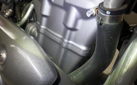 HONDA CRF250L MD47