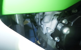 KAWASAKI NINJA ZX-6R A 2024 ZX636J
