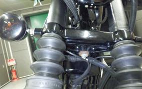 HARLEY XL883N 2010