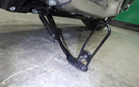 HARLEY FXBR1920 2024