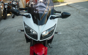YAMAHA FZ1 FAZER 2010 RN21J