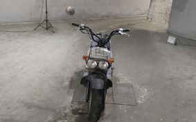 HONDA ZUMAR AF58