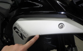 BMW R1300GS 2024
