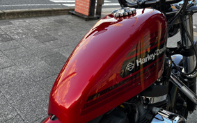 HARLEY XL1200XS 2018 LR3