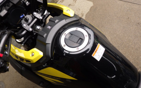 SUZUKI STROM 250 DS11A