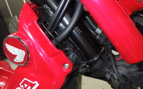 HONDA CT125 HUNTER CUB 2025 JA55