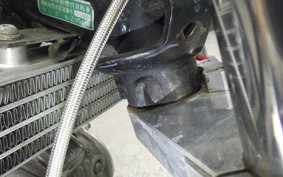 HONDA MONKEY 2024 Z50J