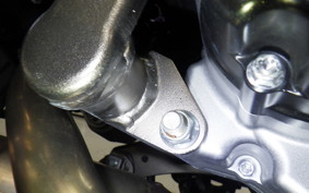 SUZUKI SV650 A 2025 VP55E