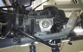 OTHER MUTT250