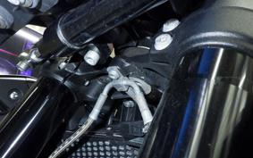 BMW M1000R 2024