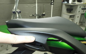 KAWASAKI NINJA 1100SX SE 2026 ZXT10H