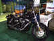 Фото Harley FXDB Dyna Street Bob 2009 с японского аукциона