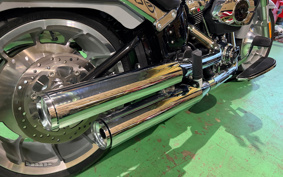 HARLEY FLFB 2025 YF9
