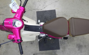 HONDA C110 SUPER CUB 2001