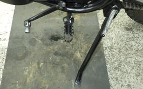 SUZUKI TS185 2017