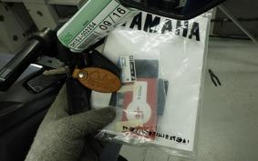 YAMAHA TRICITY 300 2023 SH15J
